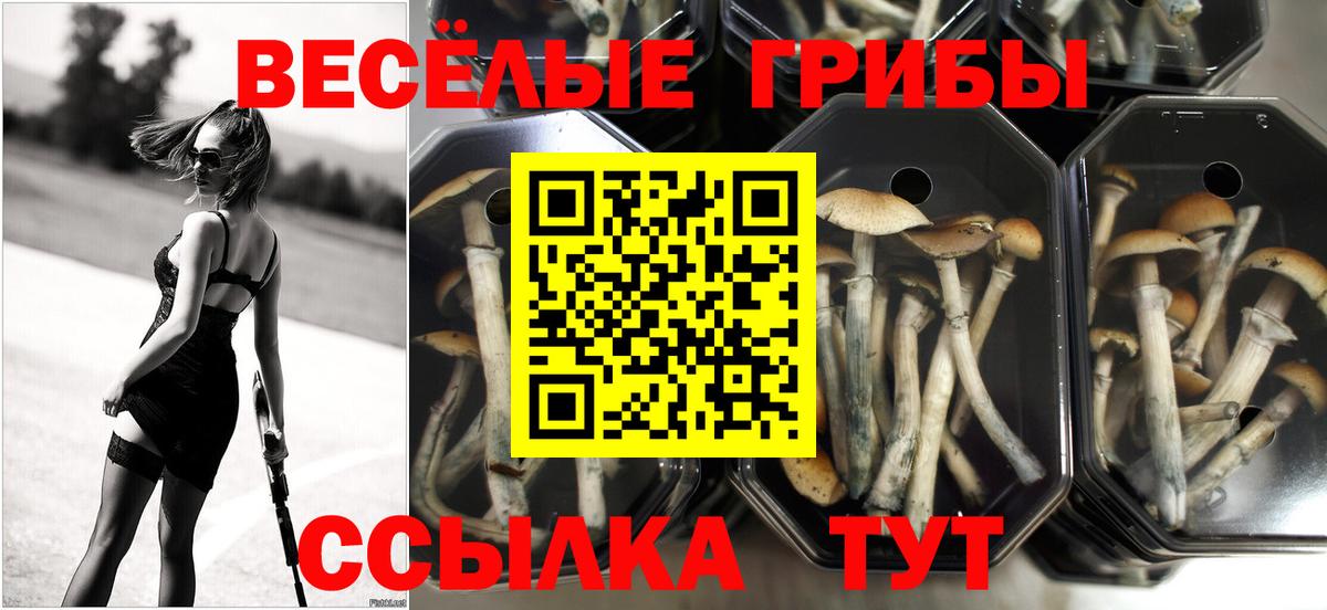 сколько стоит  Галлюциногенные грибы ЛСД  Вход с VPN  Нижнеудинск 