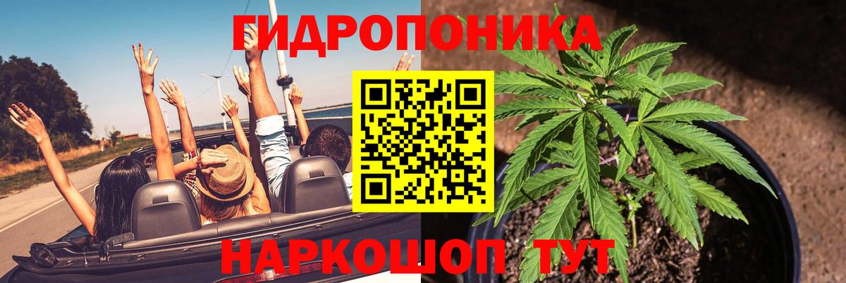 Бошки марихуана гибрид Нижнеудинск